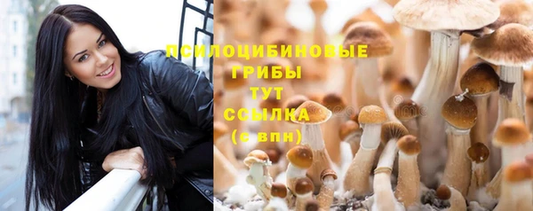 скорость Богородск