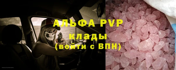прущие грибы Богданович