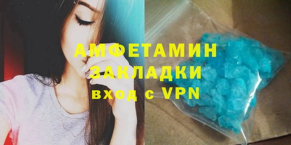 прущие грибы Богданович