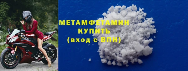 прущие грибы Богданович