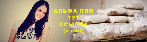 прущие грибы Богданович