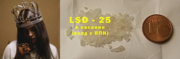 прущие грибы Богданович