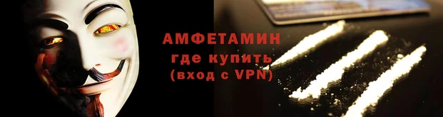 прущие грибы Богданович
