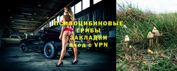 МДПВ Богородицк