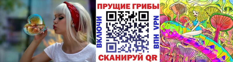 Галлюциногенные грибы Cubensis  закладки  Новоульяновск 